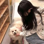 雷霆战争手游下载